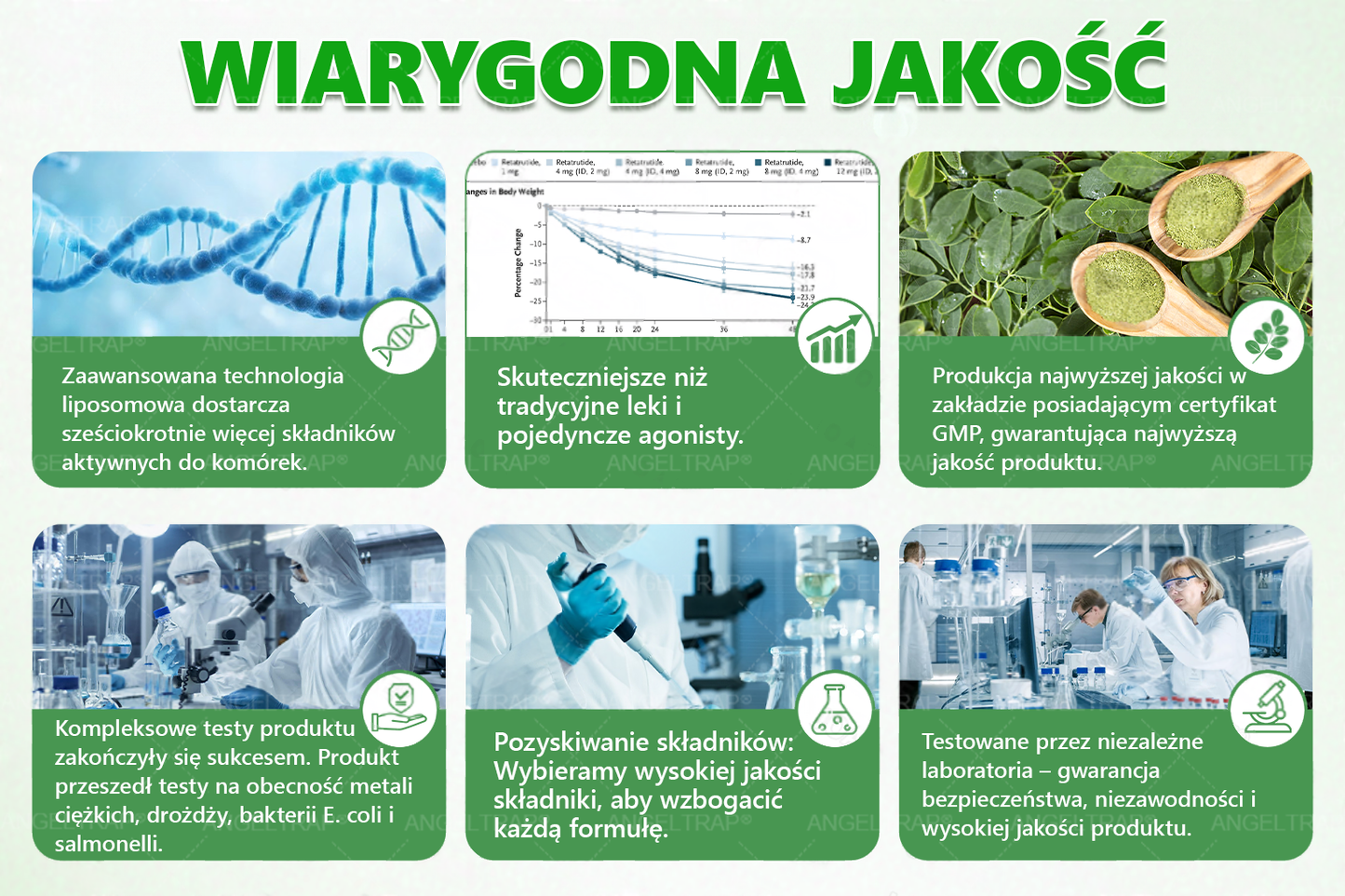 ANGELTRAP® Moringa × Berberyna × AMPK 10-w-1 Wsparcie metaboliczne, plaster z nanotechnologią mikroigłową 🇵🇱(Wystarczy raz dziennie, widoczne efekty w 7 dni) ✅ Na otyłość, wiotką skórę, cukrzycę, bezdech senny, problemy ze stawami i wiele innych
