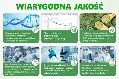 ANGELTRAP® Moringa × Berberyna × AMPK 10-w-1 Wsparcie metaboliczne, plaster z nanotechnologią mikroigłową 🇵🇱(Wystarczy raz dziennie, widoczne efekty w 7 dni) ✅ Na otyłość, wiotką skórę, cukrzycę, bezdech senny, problemy ze stawami i wiele innych