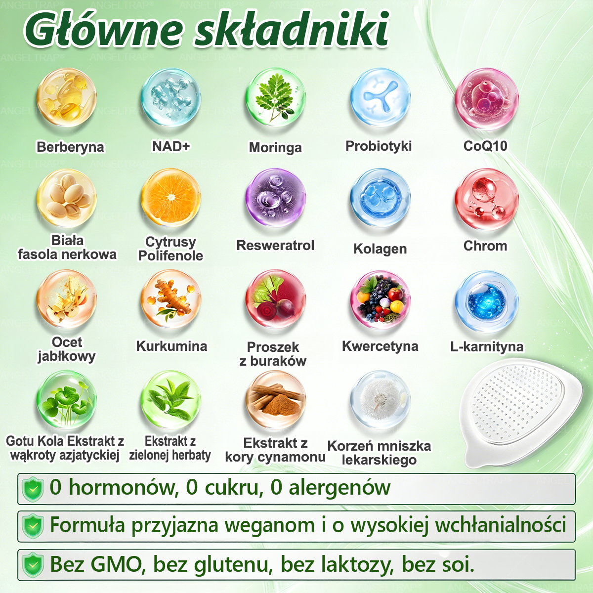 ANGELTRAP® Moringa × Berberyna × AMPK 10-w-1 Wsparcie metaboliczne, plaster z nanotechnologią mikroigłową 🇵🇱(Wystarczy raz dziennie, widoczne efekty w 7 dni) ✅ Na otyłość, wiotką skórę, cukrzycę, bezdech senny, problemy ze stawami i wiele innych